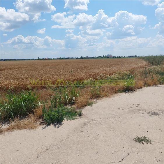 Teren 88000 mp de vanzare, Glina - 2