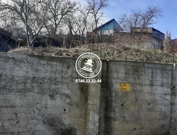 Teren pentru constructii case de vanzare Iasi, Tg Cucu - Podul de Fier, - 2