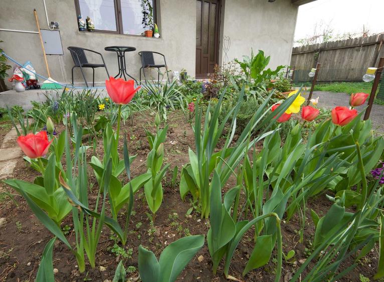 Casa in cartierul Militari de inchiriat , Direct Proprietar - 8