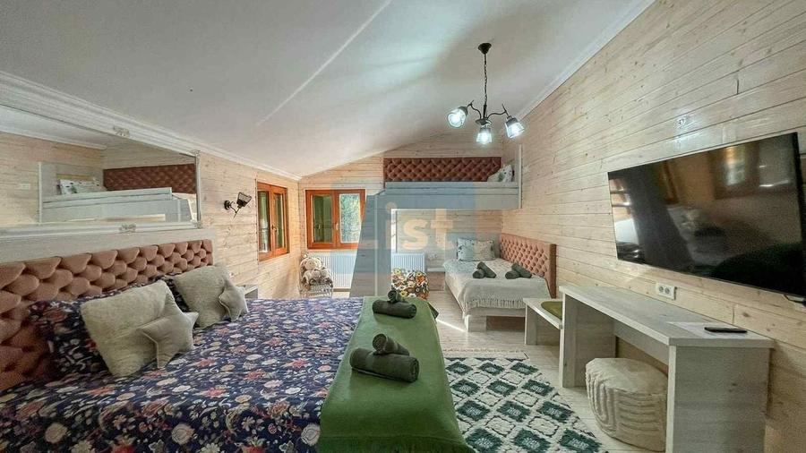 Casa de vacanta superba in Crivaia - 8