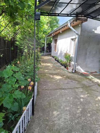 Vand casa in Stefanesti Arges sat Golesti la numai 8 km de Pitesti - 5