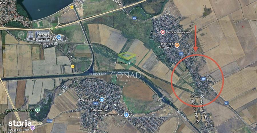 Teren intravilan 3,74 ha | Cernica - Tanganu | Investitie | A2 - 1
