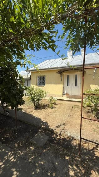 Casă cu 3 camere cu Teren 2400 Mp în Fundata