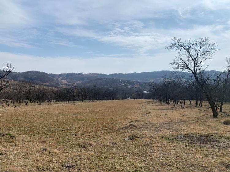 Teren intravilan de 4149 mp, în Ogretin
