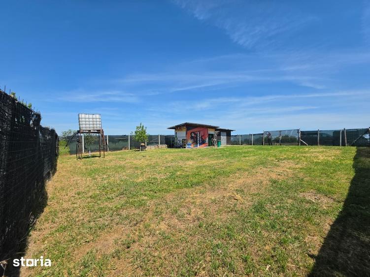 Teren de 1200 mp, în Adunații-Copăceni