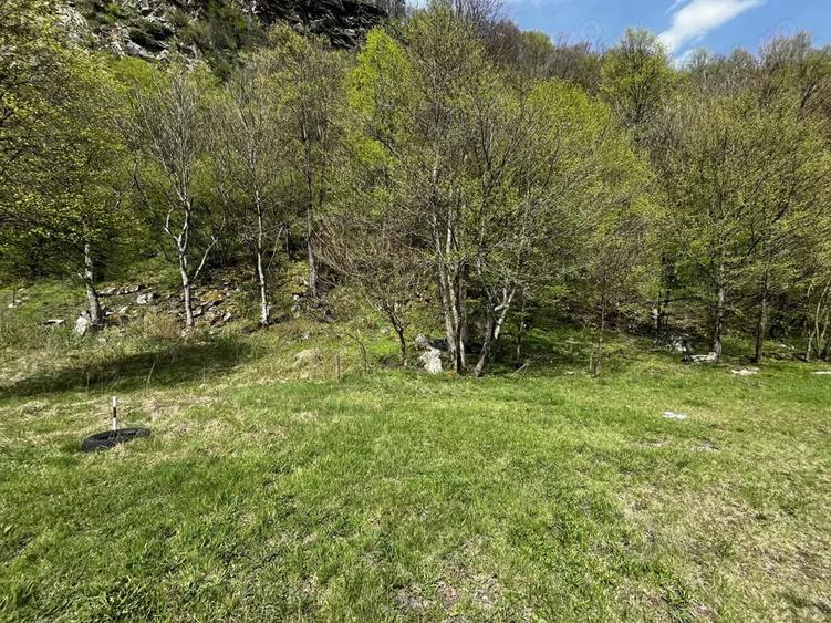 Teren Clopotiva - Rau de Mori - Retezat - 4