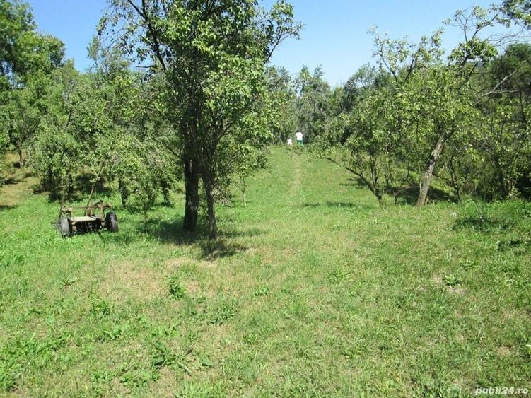 Teren de 4000 mp, în Drăgăneasa