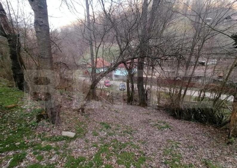 Teren intravilan 2900 mp in Zona Presaca Ampoiului - 1