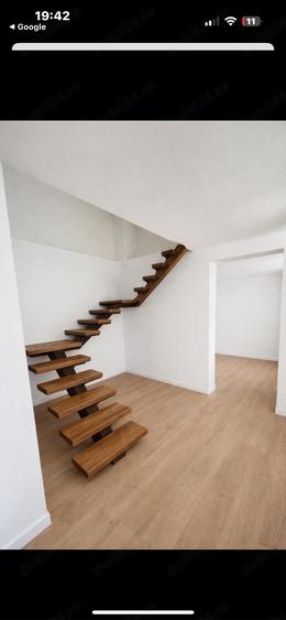 Casa Budesti - 4