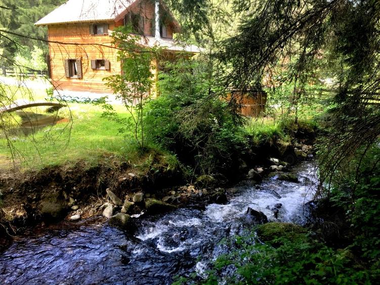 Casa din grinzi pe marginea paraului Borzont - 5