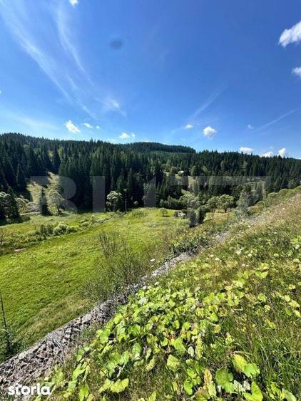 Teren intravilan de vanzare, 6941 mp, zona Mestecanis - 3