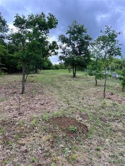 RECO teren de vanzare in zona Betfia - 2