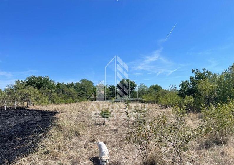 Casa cu teren 3407 mp, la asfalt, Seceani, 26 km de Timis... - 2