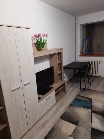 GArsoniera libera la vanzare zona Calea Bucuresti - 2