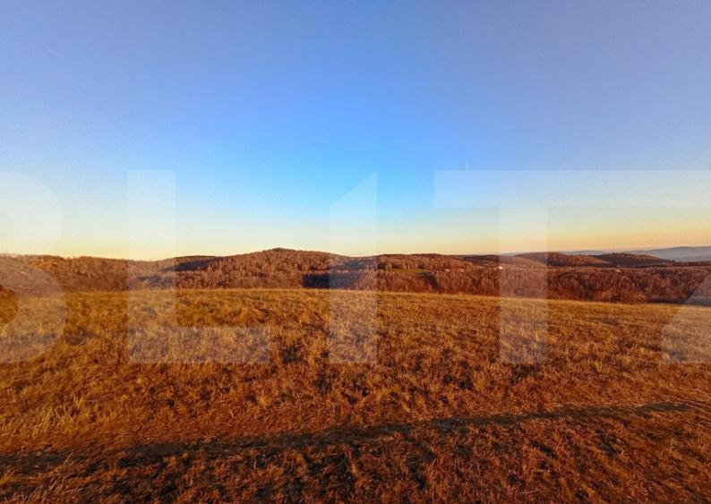 Teren extravilan potrivit pentru investitie - 1