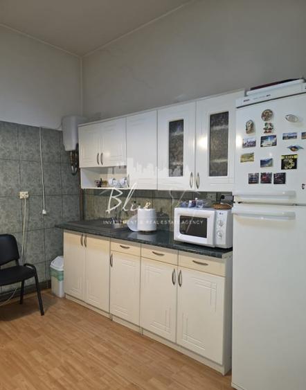 Spatiu pentru birouri, Centru-Str. Stefan Mihaileanu - 10