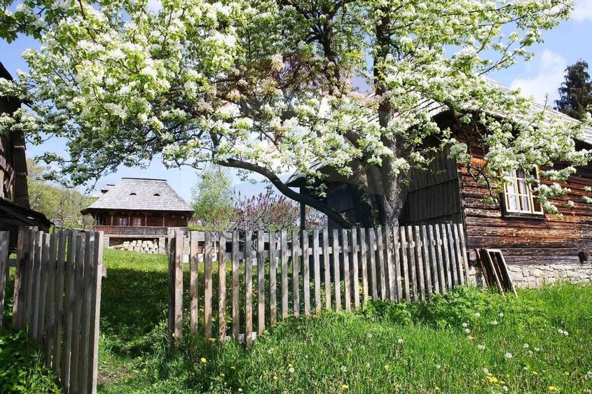 Vanzare ansamblu de 5 casute traditionale Maramures/ Botiza - 9