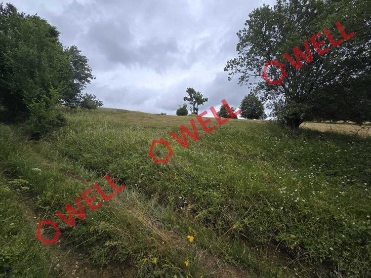 De vânzare teren extravilan loc. Sărămaș - 2