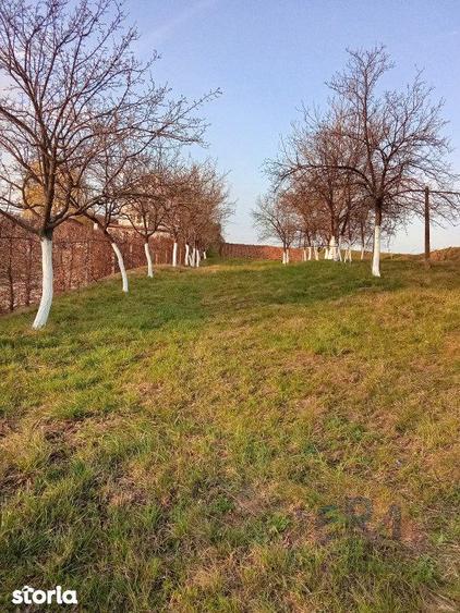 Teren Alparea , Str. Principala - 1