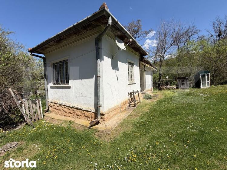 Casa cu 3 camere si un teren de 5000 mp - 3