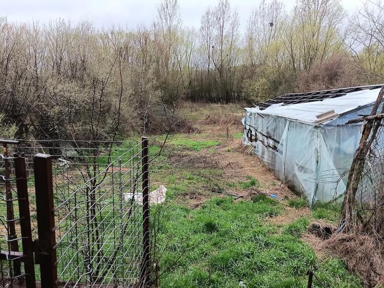 Casa la tara...curte, gradina, dependin?e - 5