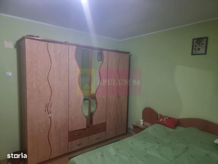 Vanzare Casa P+1 Sat Islaz Com. Branesti (If) - 5