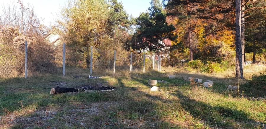 Teren intravilan 1.500 mp in Sacele – utilitati, platforma betonata si potential - 6