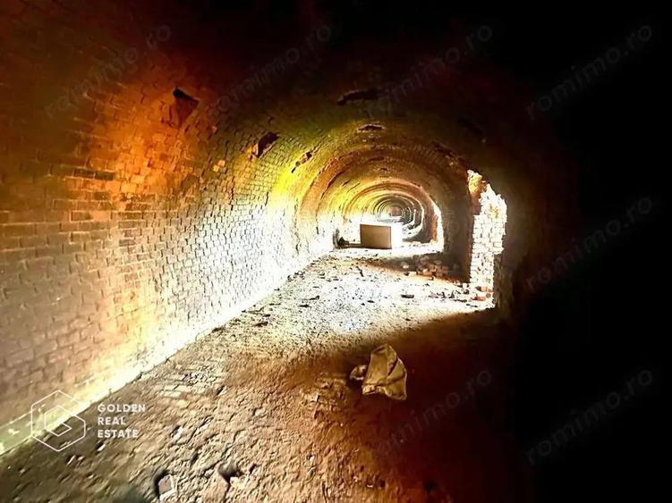 Teren intravilan 71.000mp, Barsa, Renumita Fabrica de caramida si casa 4 camere - 9