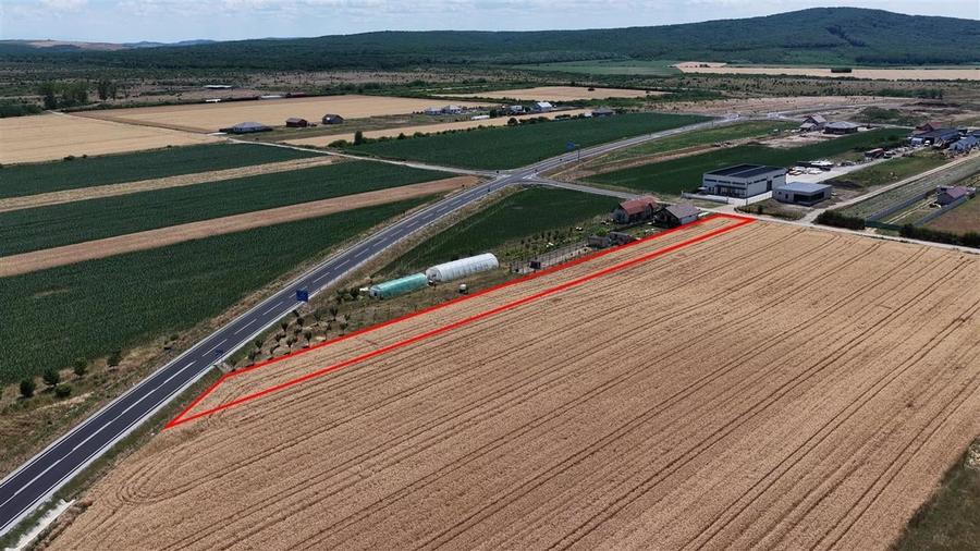 RECO Teren intravilan in Cheriu 2.303 mp - 6