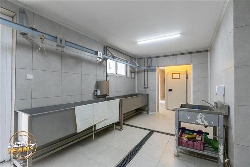 FILM! Ferma de iepuri,Malnas,Covasna: domeniu:comercial/industrial,asset UE - 35