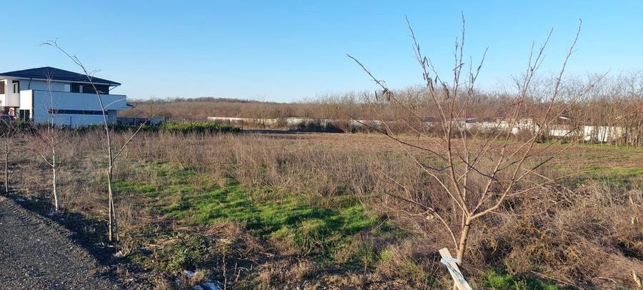 Teren de vanzare Dragomiresti Deal - 4