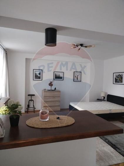 Apartament cu 1 camere de &icirc;nchiriat &icirc;n zona Centrul Istoric - 8