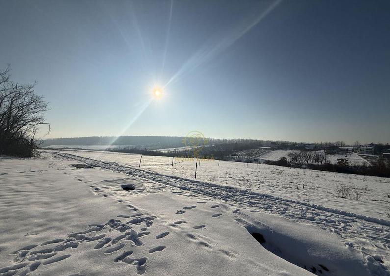 De vanzare Teren Intravilan Viile Satu Mare 1439 MP/ZONA ... - 3