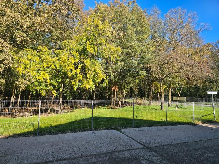 Mangalia, str Ferdinand nr 32, Jupiter - 6