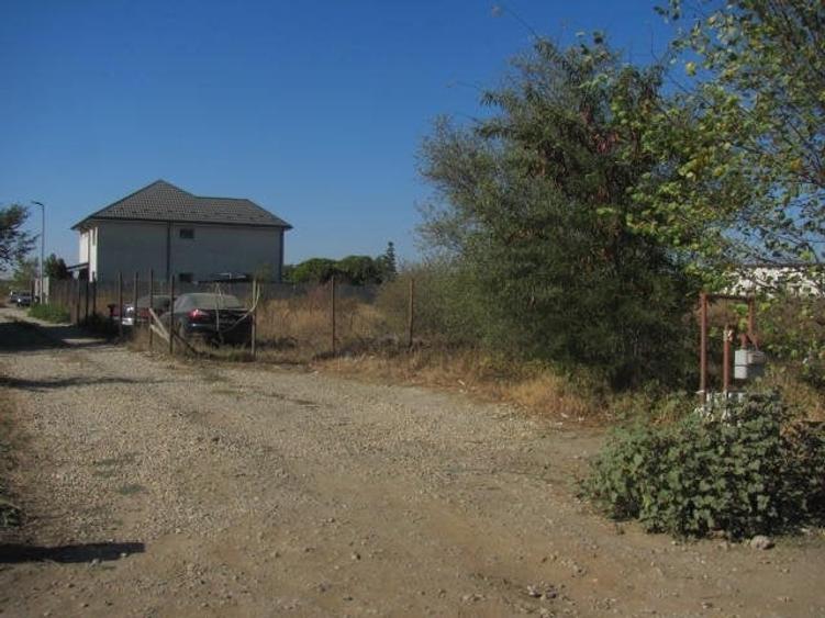 prelungirea Ghencea Iernii - 9