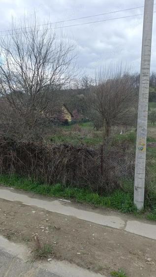 Teren Goranu Zona Peugeot - 3