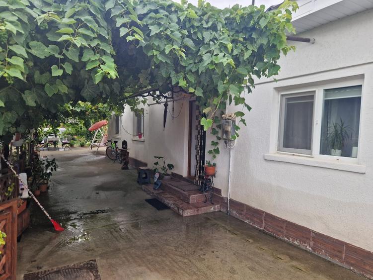 Agenție imobiliară vindem caaa la sol în Lumina - 2