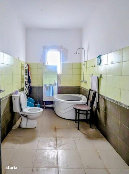 Hala de productie + casa de locuit, cu teren generos - in Hodis, comun - 9