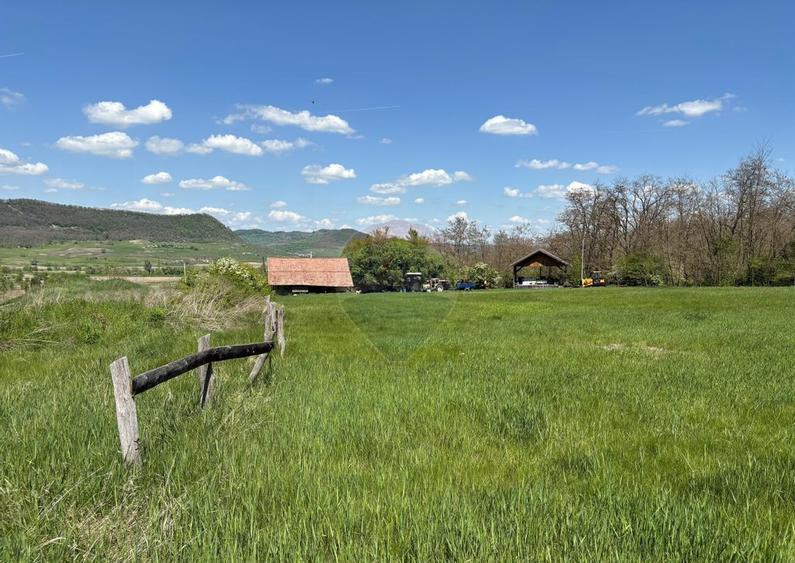 Domeniu - 66 Hectare - Teren deosebit Copsa Mica cu desch... - 14