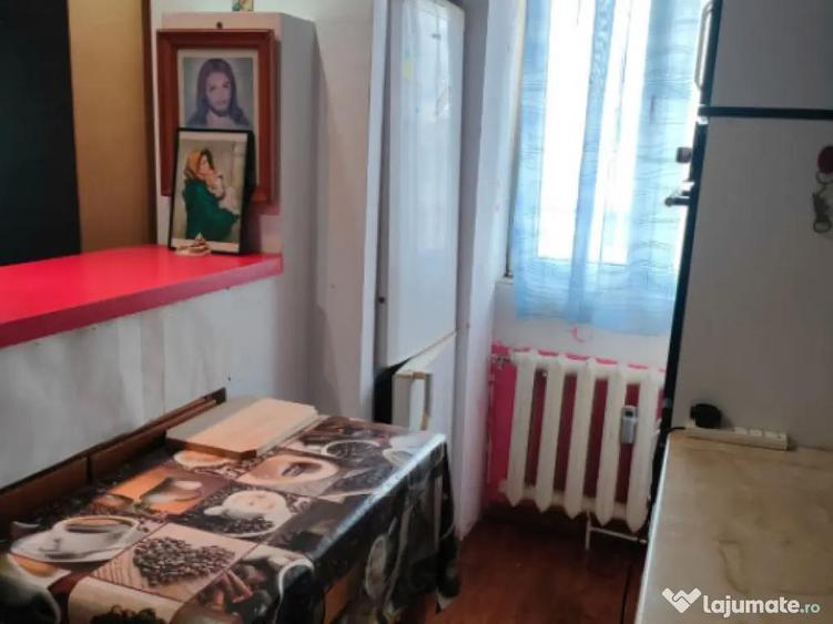 Garsoniera 25 mp, Radauti - 4