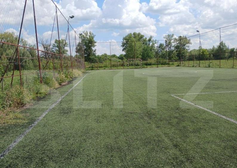 Casa superba in Tinca, 225 mp, 20 ari luciu de apa, teren fo - 18