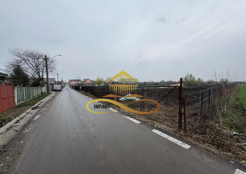 Teren de vanzare Filipesti Bacau 6838 mp - 12