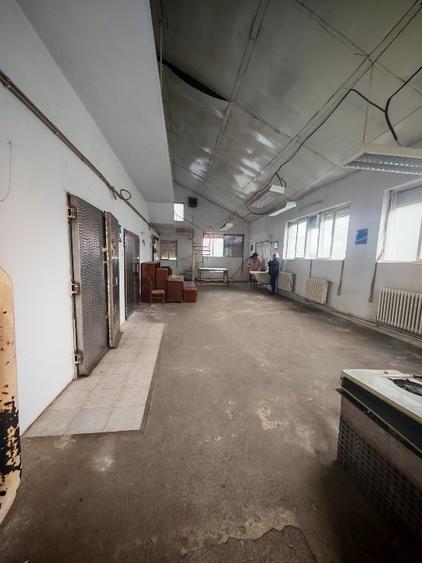 Hala frigorifica  - 7