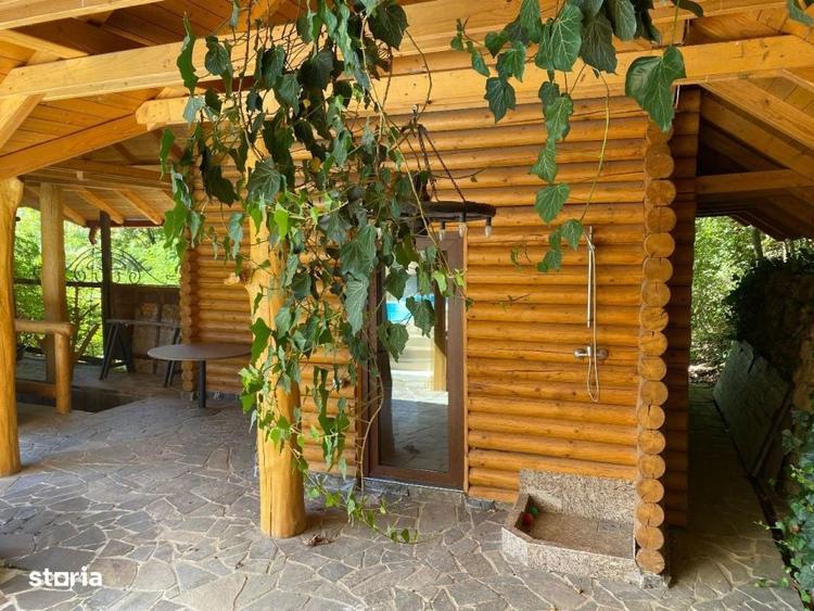 Domeniu exclusivist 17.000 mp | Vila luxury cu piscina & SPA - 12