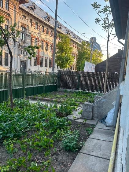 Casă zona centrală, Gheorge Doja - 2