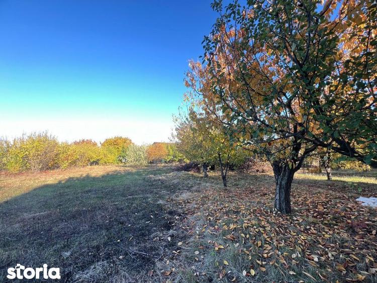Teren constructie 800mp Rediu Horlesti - 2