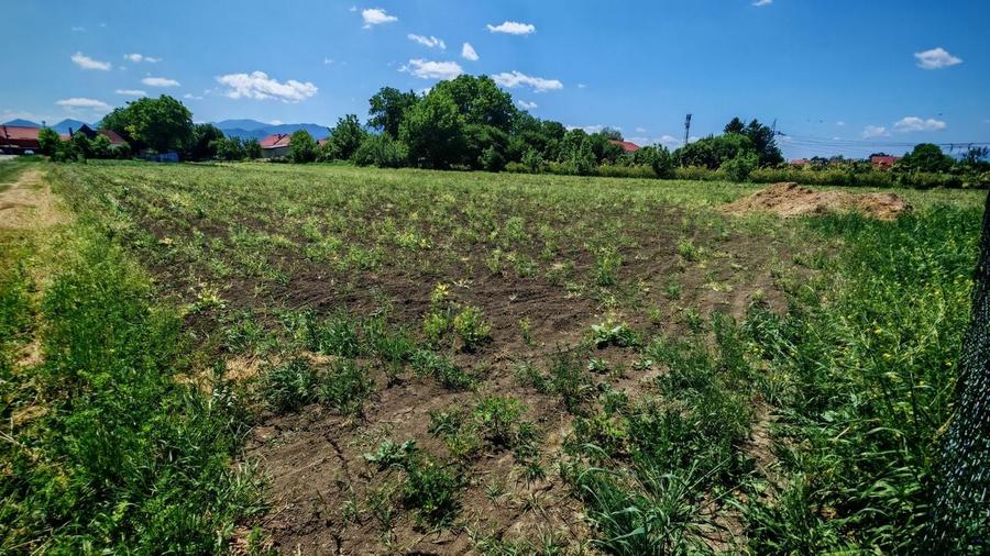 Teren intravilan in Stupini aproape de Centrul Cartierului 856 mp - 4