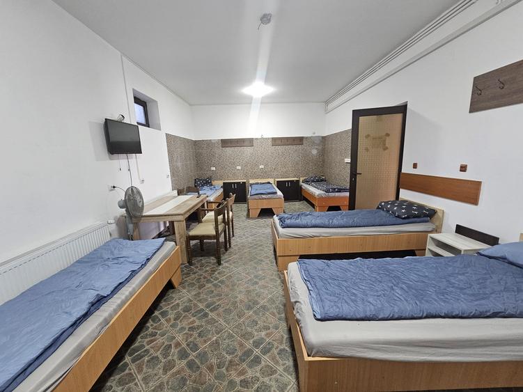 Proprietate speciala Dumbravita - casa individuala !! - 13