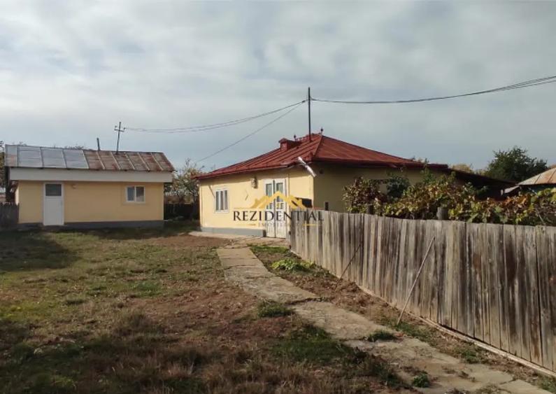 CASA TEREN 2600 MP - CURTESTI - 2