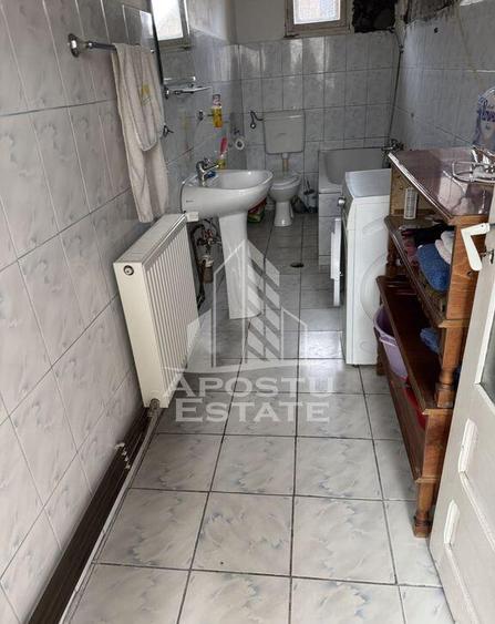 Casa unifamiliala in Remetea Mare cu teren de 3383 mp. - 12